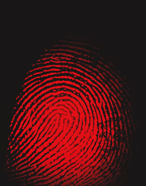 White-Collar Crime